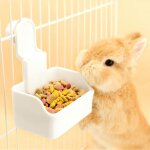 Bol pour lapin bol � eau pour cage bol alimentation et eau 2 - en - 1 pour chiot chat lapin cochon dinde ...