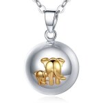 Bola de grossesse lphants