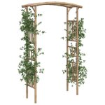 Bon plan pergola / tonnelle / arche - jili hot - arche pour rosiers bambou 118x40x187cm thome4345222
