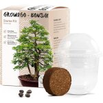 Bonsai kit avec ebook gratuit - bonzai set avec mini - serre graines et terre - ide cadeau durable pour ...
