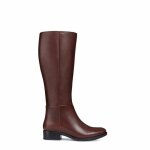 Botte - geox - d felicity d - cuir - marron - talon plat 3. 5cm
