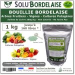 Bouillie bordelaise - uab - 1 kg - non color�e - protection arbres fruitiers - agriculture biologique ...