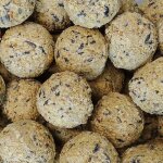 Boules de graisse pour oiseaux 200 x ca. 90 grammes sans filet nourriture oiseaux jardin Boules de graisse pour oiseaux 200 x ca. 90 grammes sans filet nourriture oiseaux jardin