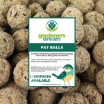 Boules de graisse de suif(50) friandises nergtiques pour oiseaux sauvages