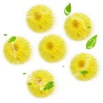 Boule de lavage machine a laver boule anti poils pour machine a laver enlever les poils danimaux et les ...