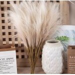 Bouquets fleur artificielle style boh�me decoration pampa blanc 30 pcs / lot roseau plumeau mariage fete ...