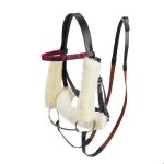 Bridons quitation lemieux hobby horse