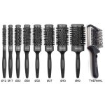 Brosse professionnelle - termix collection evolution plus + brosse thermique plate