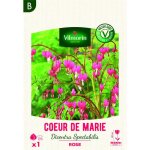 Bulbe - vilmorin - c?ur de marie dicentra spectabilis rose (x1)