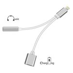 Cable double adaptateur port lightning avec prise jack 3. 5 mm pour iphone 12 couleur argent - yuan yuan ...