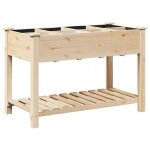 Cache - pot de jardin avec �tag�re - vidaxl - 115x59x765 cm - bois de sapin massif - beige - utilisation ...