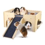 Cachette pour cochon dinde - jouet en bois pour cochon dinde - avec escalier et tapis - 2 animaux - pour ...