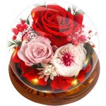 Cadeau femme rose eternelle - cadeau pour femme maman - noël saint valentin fête anniversaire - coffret ... Cadeau femme rose eternelle - cadeau pour femme maman - noël saint valentin fête anniversaire - coffret ...