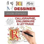 Calligraphie enluminure & lettrage - techniques de dessin dalphabets - plus de 1 000 illustrations