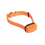Canicom r - collier de dressage pour chien rechargeable numaxes sangle orange