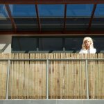 Canisse bambous ronds diamtre  26 mm nature 180 x 200 cm