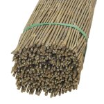Canisse en petit bambou 2 x 5 m
