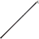 Canne tlescopique daiwa procaster big pike 50 t