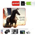Carte mmoire micro sd 256 go class 10 + adaptateur lecteur carte