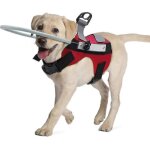 Ceinture de sécurité pour chien aveugle - marque - modèle - anneau anti - collision - ajustable - durable ... Ceinture de sécurité pour chien aveugle - marque - modèle - anneau anti - collision - ajustable - durable ...