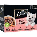 Cesar chiens sachet repas 12x100g