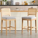 Chairus tabouret de bar lot de 2 tabouret bar en bois tabouret avec dossier rotin chaise bar haute pour ...