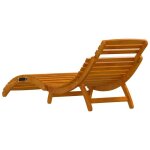 Chaises longues lot de 2 - transats piscine - en - bois dacacia massiftop vente482265186