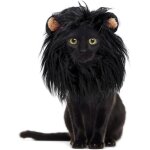 Chapeau mignon pour chien ou chat perruque drle avec crinire de lion et oreilles animalerie > chien > ... Chapeau mignon pour chien ou chat perruque drle avec crinire de lion et oreilles animalerie > chien > ...