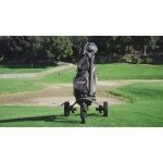 Chariot lectrique trolem etwily