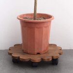 Chariot de plantes support roulant antid�rapant soucoupe pot fleur roulettes porte plante bois planche ...
