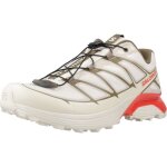 Chaussure salomon mod�le bajo xt pathway 2 - coleur beige