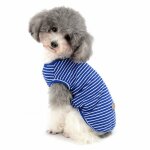 Chemises pour petit chien chat t - shirt ray� d�t� cool en coton doux v�tement pour chihuahua chiot chien ...