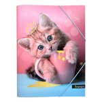 Chemise  rabats anonym petit chat
