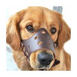 Chien en cuir museli�re anti - aboiement pour les grands chiens de petite taille moyenne l - couleur ...