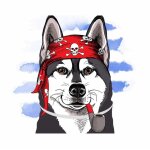 Chiwawagear chiwawage chien plus de 8kg - chien collier anti - puces et anti - tiques pour grands chiens ...