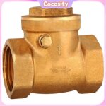 Clapet anti - retour en laiton 1 pice dn25 filetage femelle empche le reflux deau durable pour le raccordeme ...