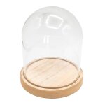 Cloche acrylique et socle en bois 115 x 13 cm