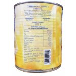 Cocktail de fruits - salades de fruits 840g / bote - marque jyrela 2 botes