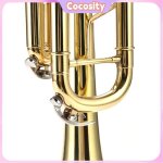 Cocosity kit de trompette lade professional bb flat cuivre trompette instrument set kit accessoire (or ...