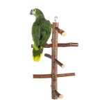 Cocosity perchoir oiseaux perroquet jouet cage arbre activit branches bois