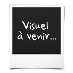 Coffret dvd freres scott : saison 1 / saison 2 / saison 3 / saison 4 / saison 5 / saison 6 / saison 7 ...