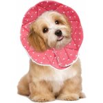 Collerette confortable de post - chirurgie pour chats et chiens robuste impermable rsistante aux griffures ...