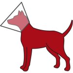 Collerette de protection xs - s 20 - 26 cm / 11 cm pour petit chien - animallparadise