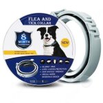 Collier chien 39 - 63cm collier anti - insectes collier anti - puces pour chat et chien offre une protection ...