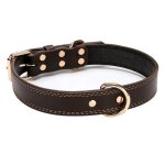 Collier pour chien collier pour chien en cuir imperméable souple cuir de collier pour chien réglable ... Collier pour chien collier pour chien en cuir imperméable souple cuir de collier pour chien réglable ...