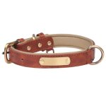 Collier chien cuir v�ritable personnalis� plaque grav�e identification look �l�gant et durable label