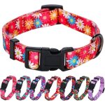 Collier pour chien fille mignon rose marguerite collier printemps et �t� fleur pour petits chiens