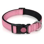 Collier - gigicial - rflchissant - boucle de scurit - nylon rglable - rose
