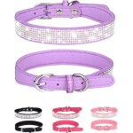 Collier pour chien pour petits chiens colliers réglables en cuir et daim pour chiencollier de chat noir ... Collier pour chien pour petits chiens colliers réglables en cuir et daim pour chiencollier de chat noir ...