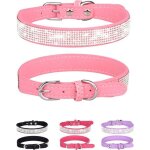 Collier pour chien pour petits chiens colliers rglables en cuir et daim pour chiencollier de chat noir ...
